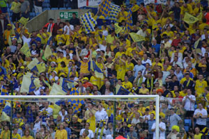 sea_of_yellow_behind_goal.jpg